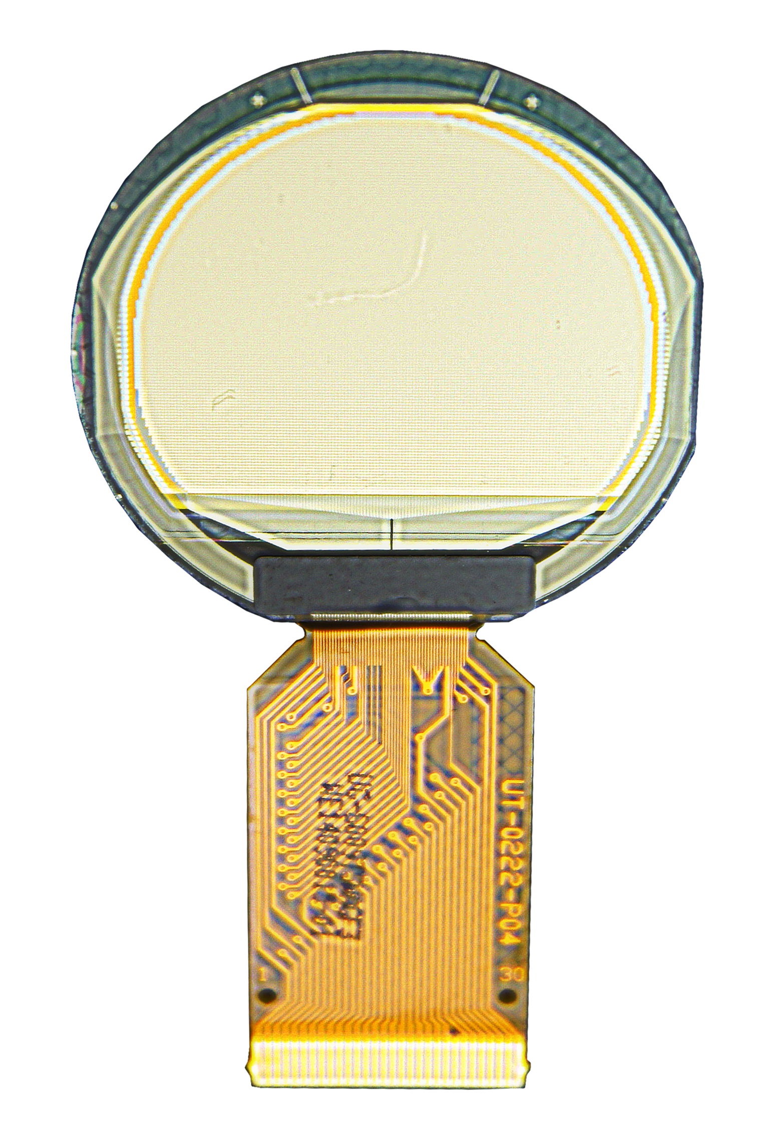 WiseChip releases Circular OLED Display - WiseChip Semiconductor Inc.